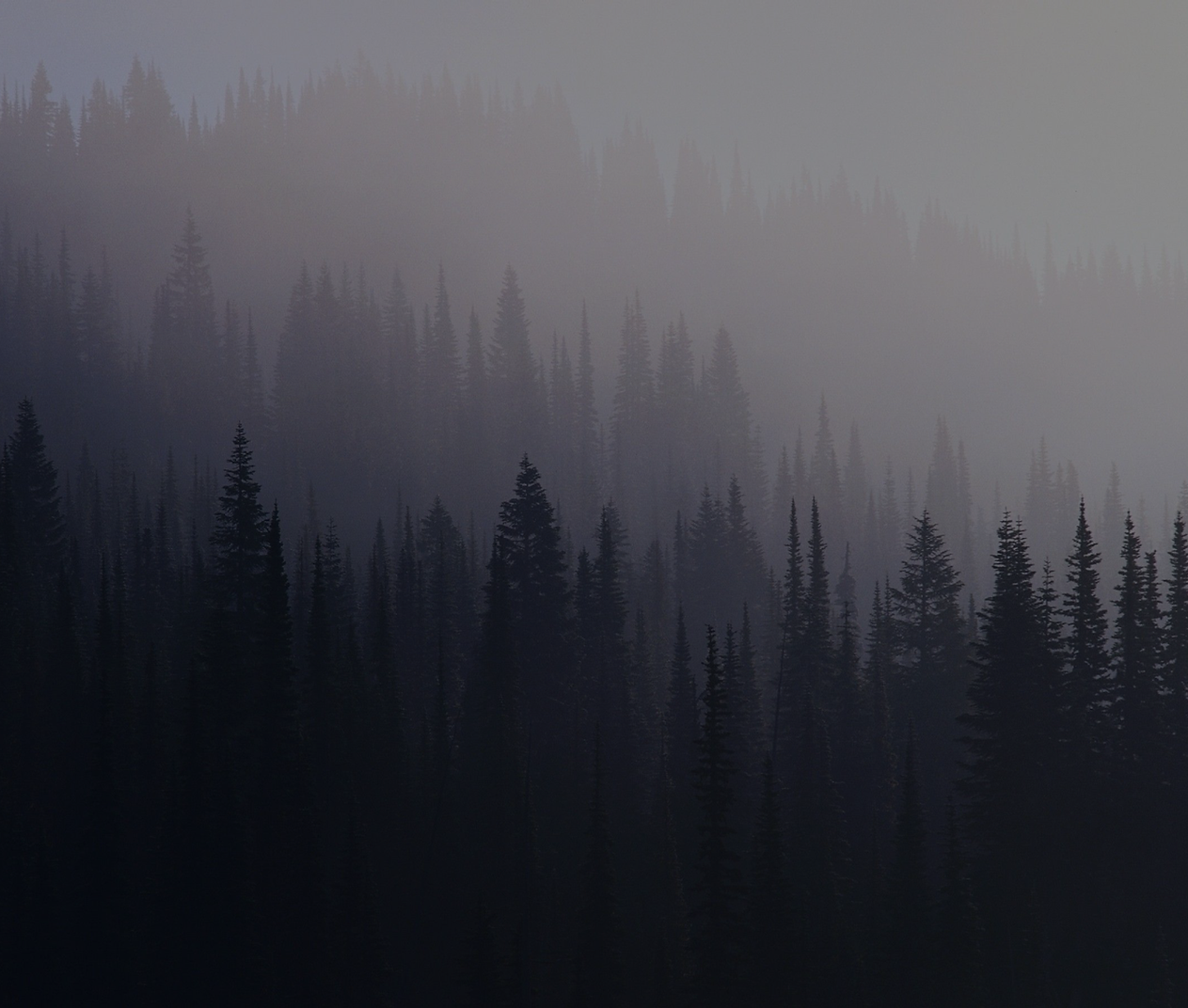 4424b4f47a39cd54f.png